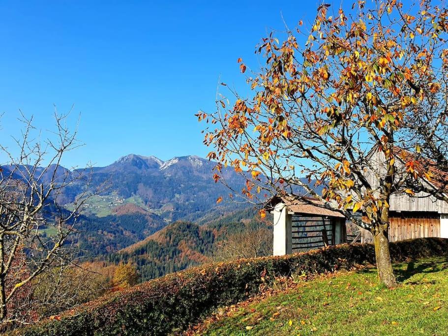 House Pucnk-Beautiful Countryside Villa Zelezniki Exterior photo